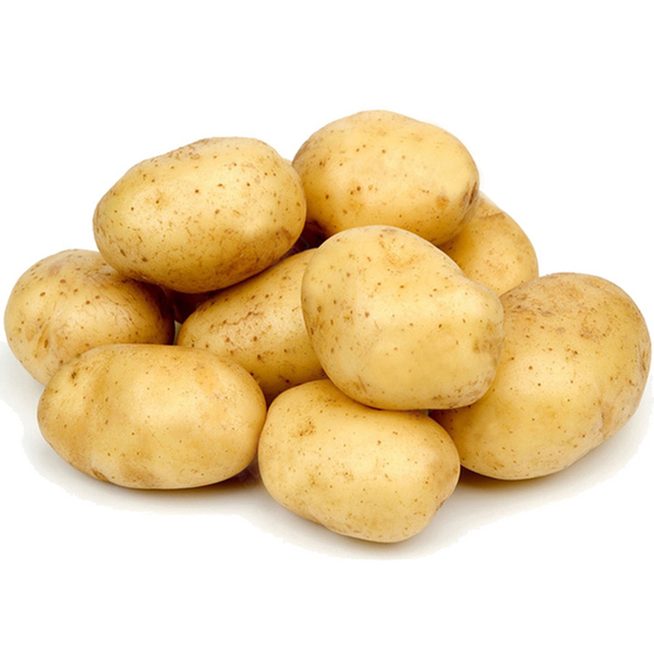 yhz土豆