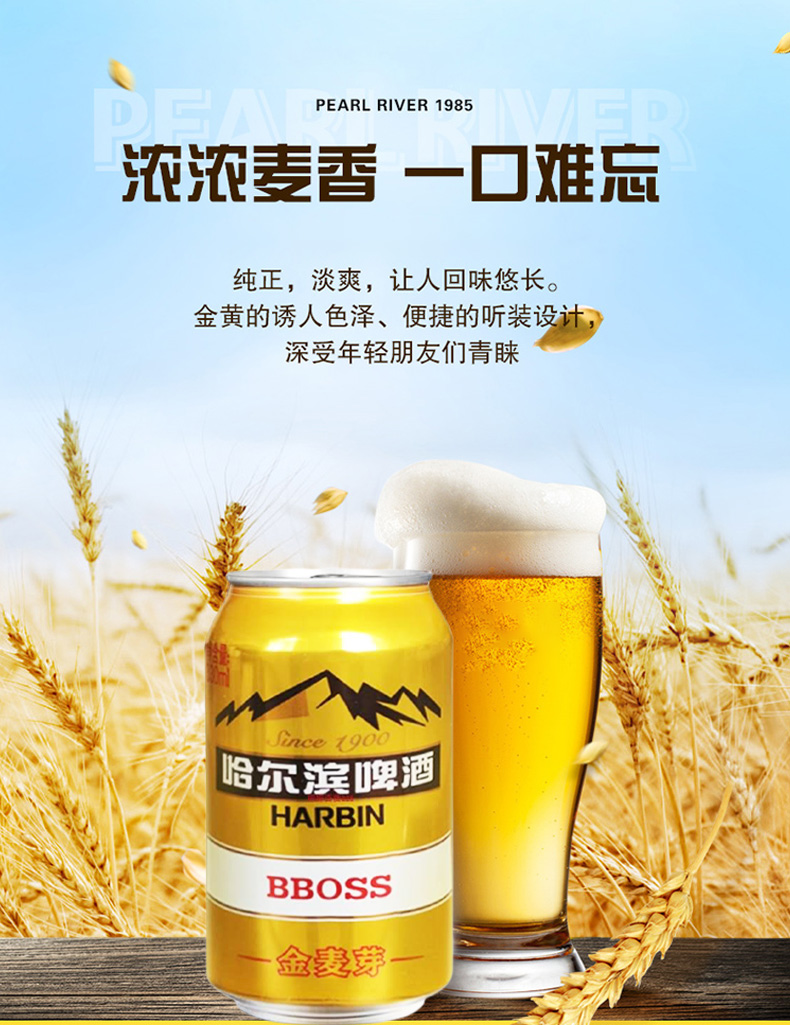 哈尔滨啤酒听装啤酒金麦芽330ml24罐