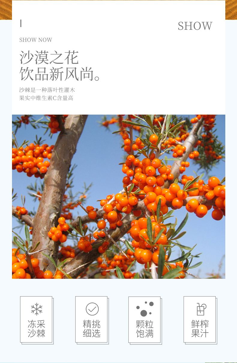 内蒙古敖汉旗沙漠之花沙棘汁饮料290ml8瓶装整箱