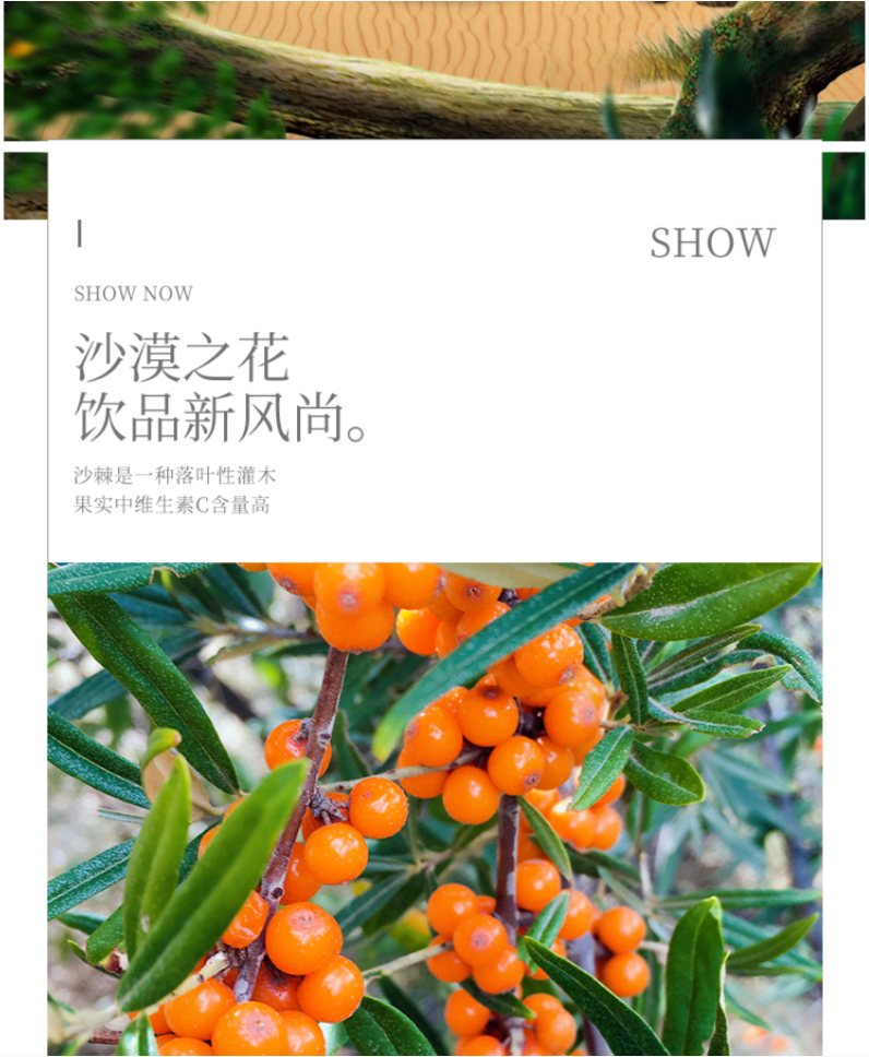 内蒙古敖汉旗沙漠之花鲜榨沙棘汁饮料240ml12罐箱装