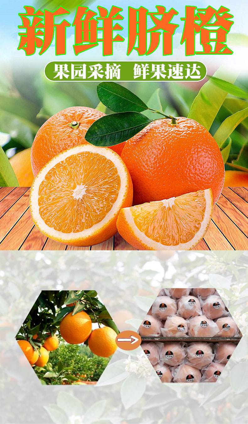 橙乡甜黄金橙12枚礼盒装