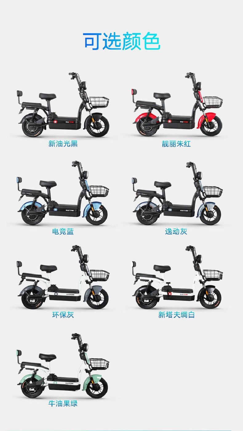 雅迪电动车冠能小金喜48v20a