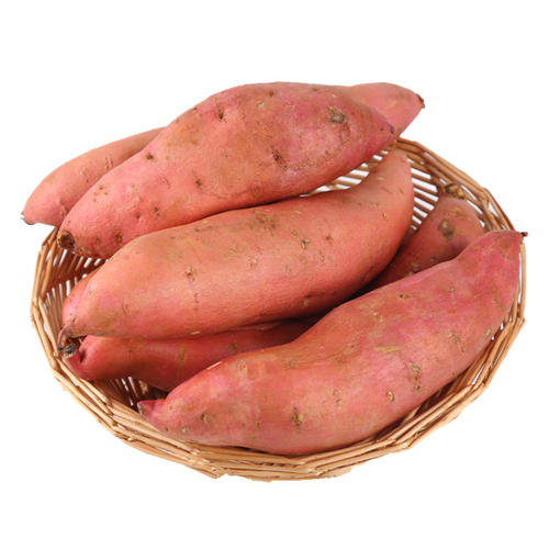 红薯