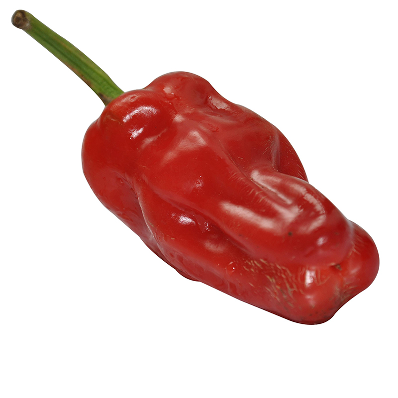 红辣椒10斤/小筐