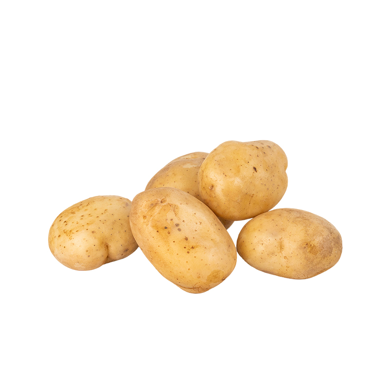 【沙洋专区】土豆500g