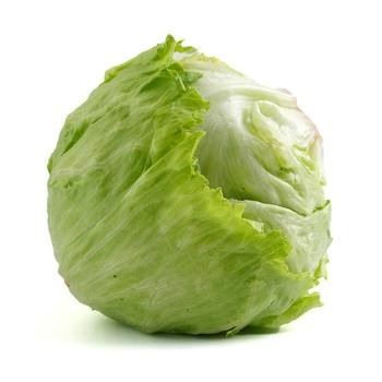 新河专区生菜球1斤