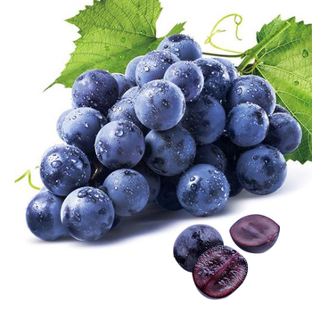 gdl蓝莓葡萄