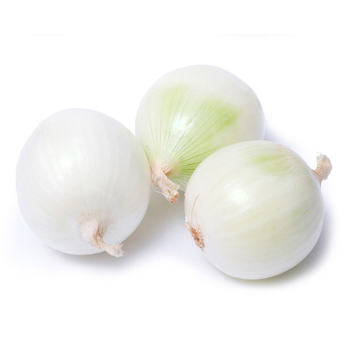 白洋葱.jpg