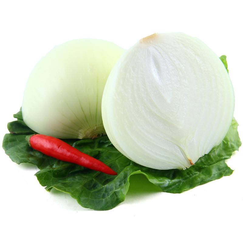 奈曼专区白圆葱斤sh