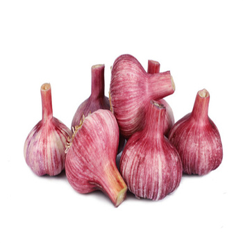 新鲜红皮大蒜1斤