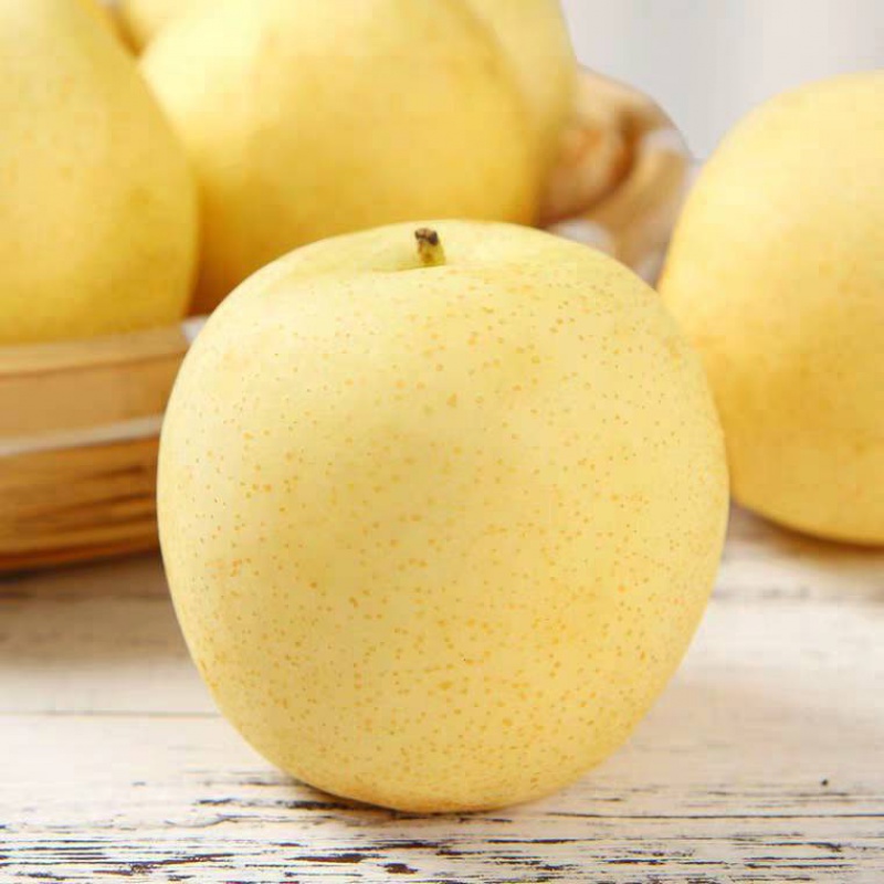 皇冠梨1斤