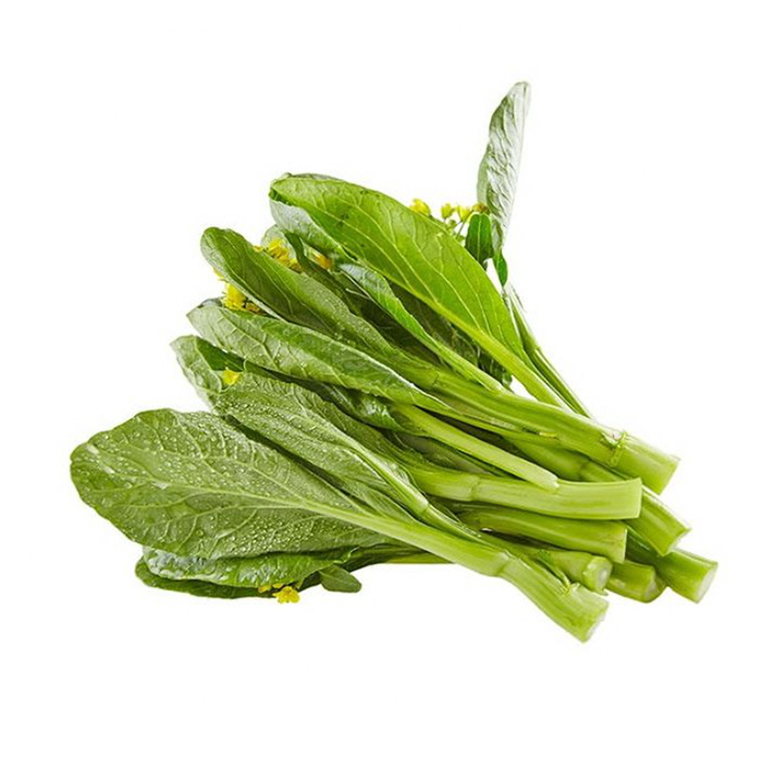 广东菜心1斤陆义兰