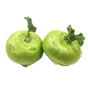 皮蓝菜1斤陆义兰