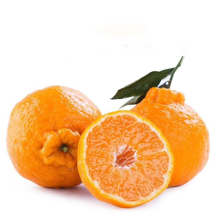 春见耙耙柑1斤望家欢农