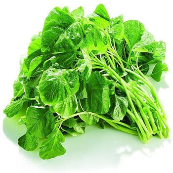 农家鲜蔬！新鲜白苋菜1.68元一斤 应季鲜蔬 新鲜健康