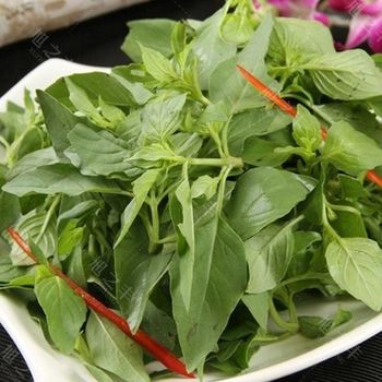 农家鲜蔬！ 新鲜荆芥1.44元/250g 新鲜健康